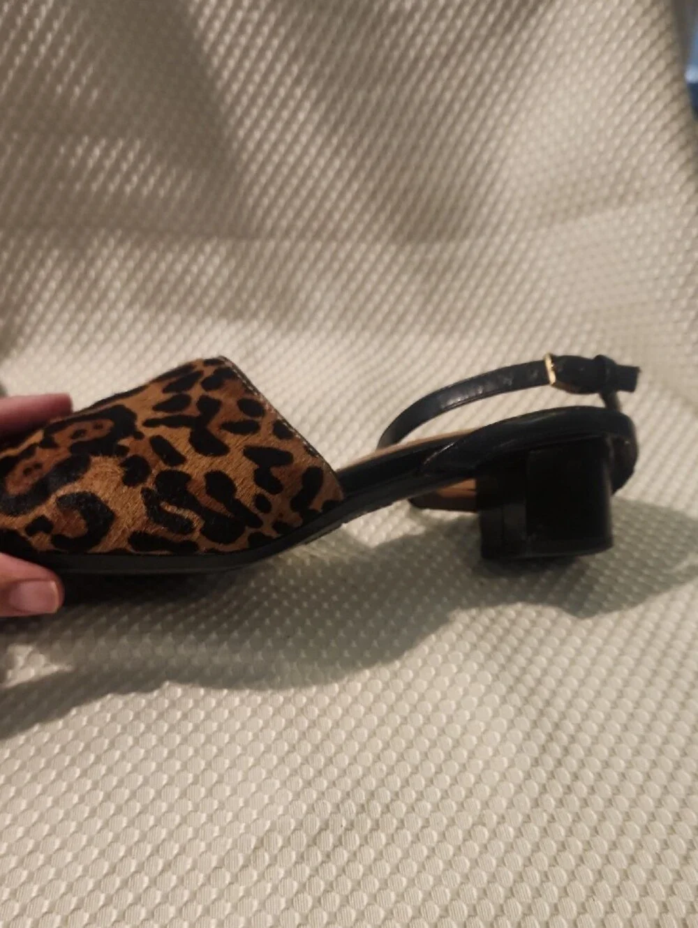 Calvin Klein Leopard Print Pointed Ankle-Strap Flats - Tan & Black